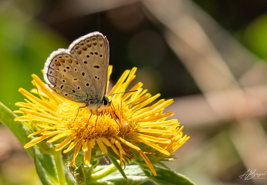 20230729-A7409709-Bearbeitet