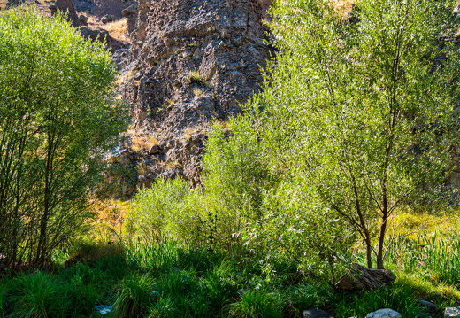 20230729-A7409820 1 2 3 4 photomatix