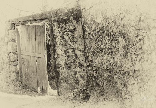 20250105-A7403174-Verbessert-RR-Bearbeitet-Bearbeitet