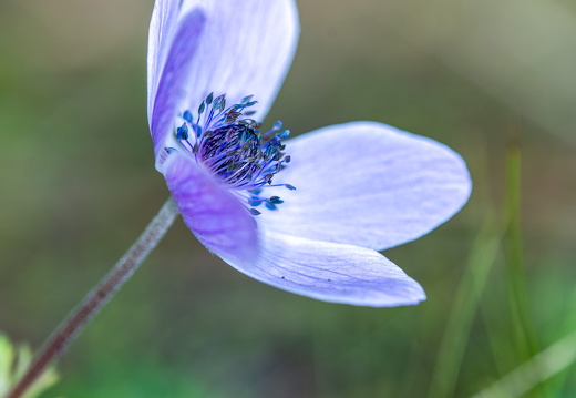 20250107-A7400128-Bearbeitet