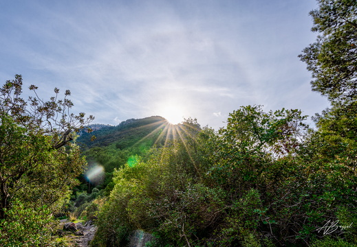 20250107-A7400170 1 2 3 4 photomatix-Bearbeitet