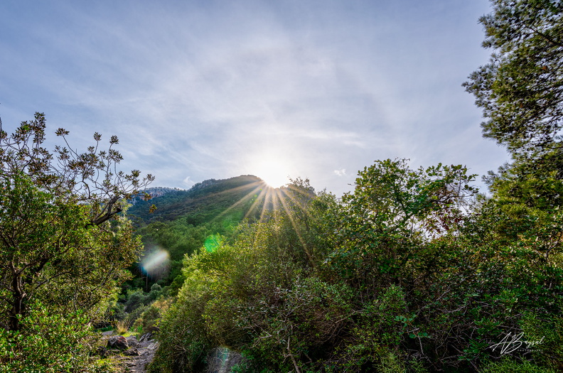 20250107-A7400170 1 2 3 4 photomatix-Bearbeitet