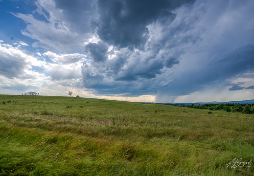 20240602-A7409536 37 38 39 40 photomatix