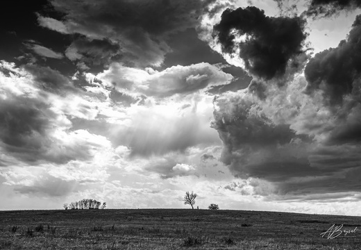 20240602-A7409566 67 68 69 70 photomatix-Bearbeitet