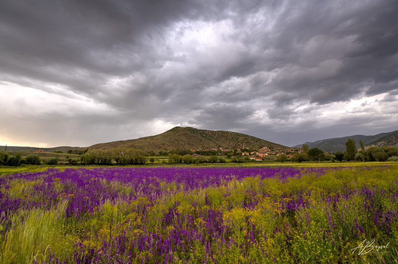 20250525-A7402412 3 4 5 6 photomatix